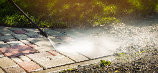 Animal Enclosure Cleaning in Gibson, AR